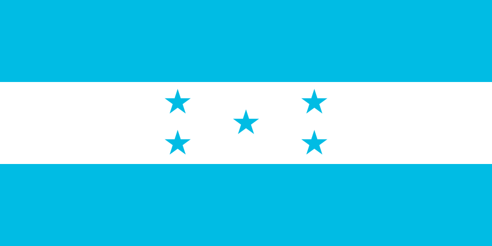 Fernando Javier Meyer Gini