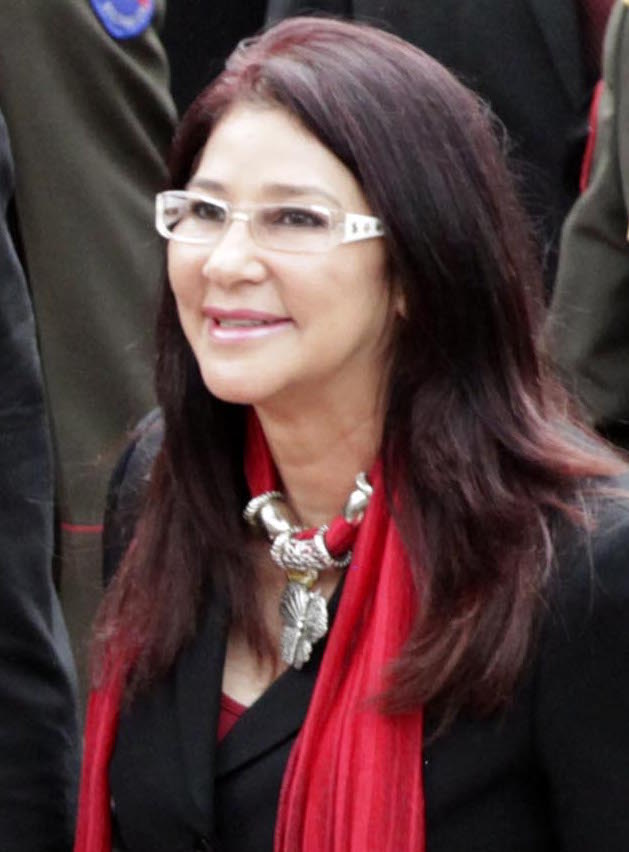 Fernando Soto Rojas
