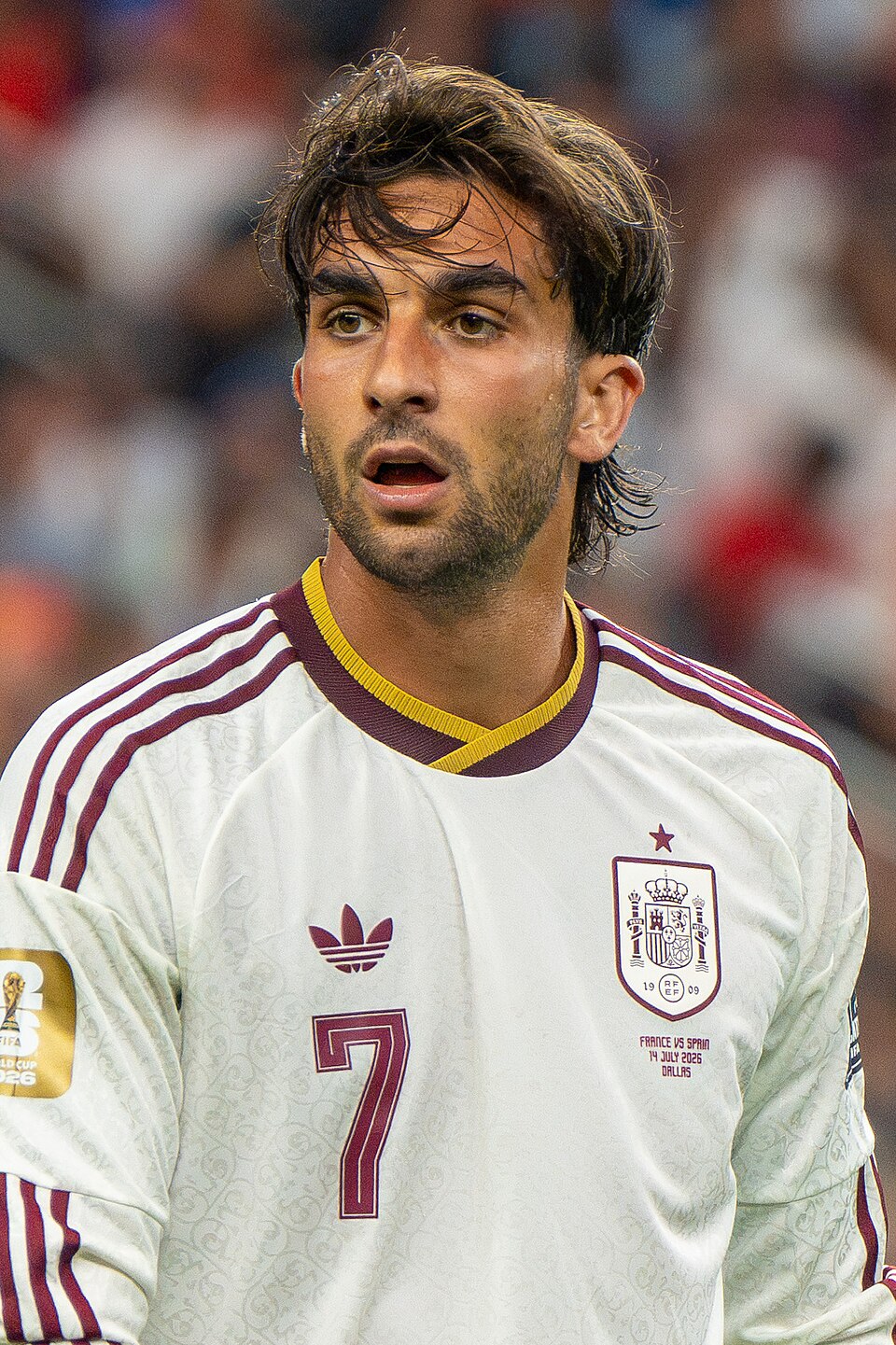 Ferran Torres García