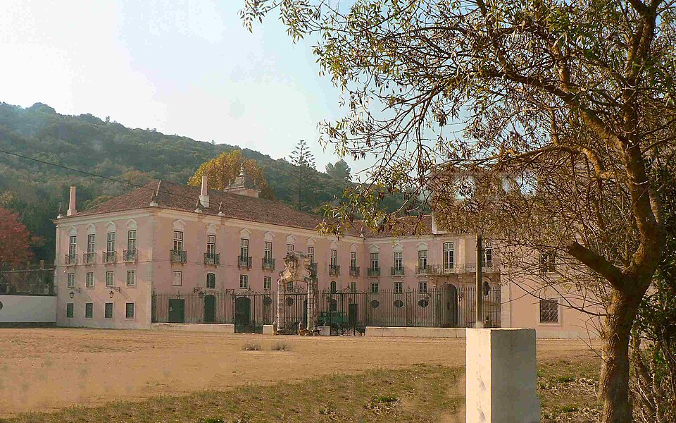 Filipa Tojal