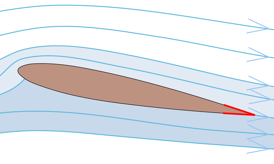 Fin