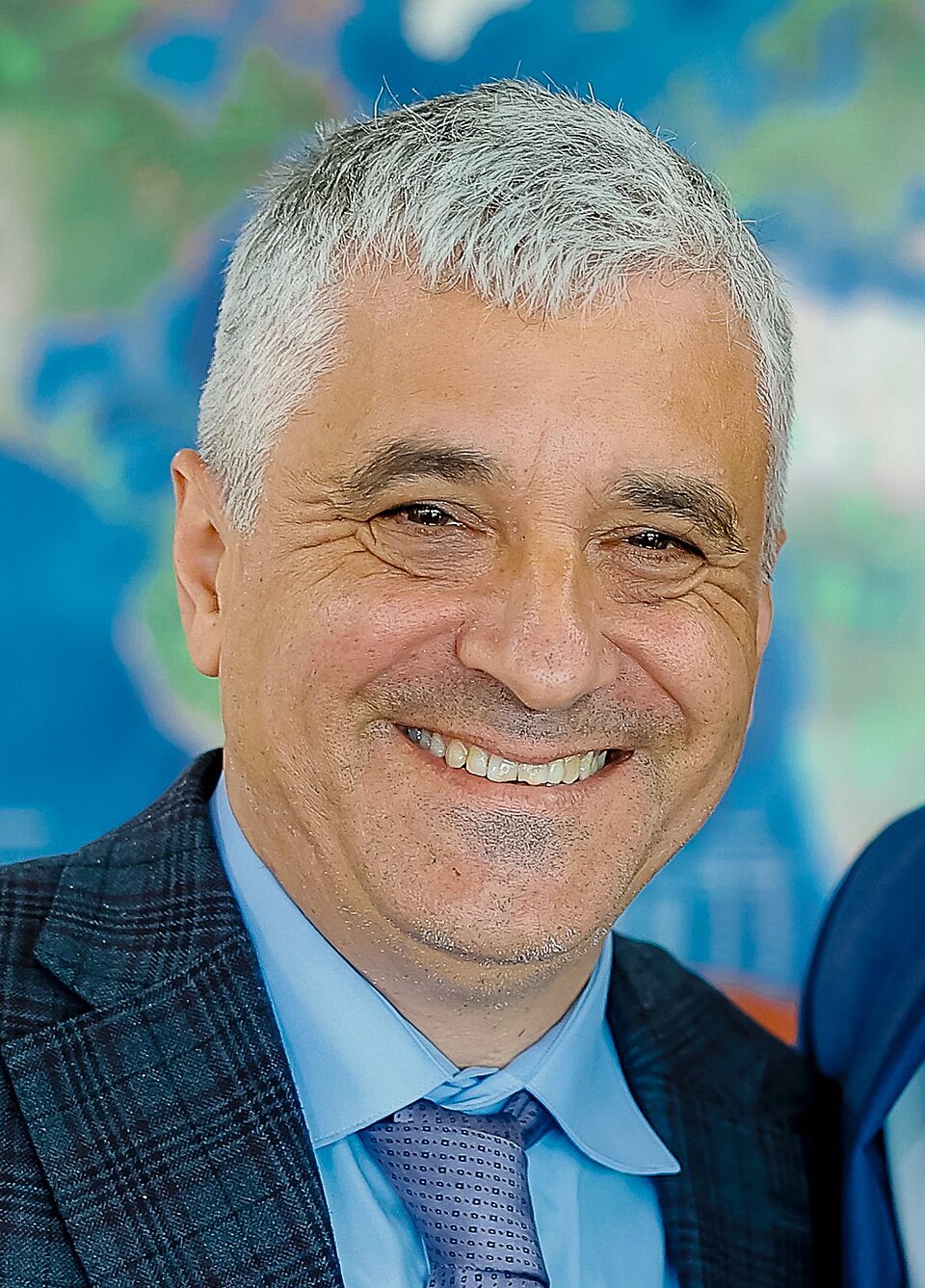 Flavia Freidenberg