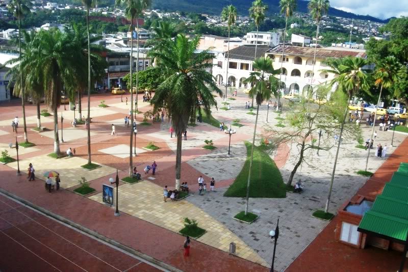 Florencia Plazas