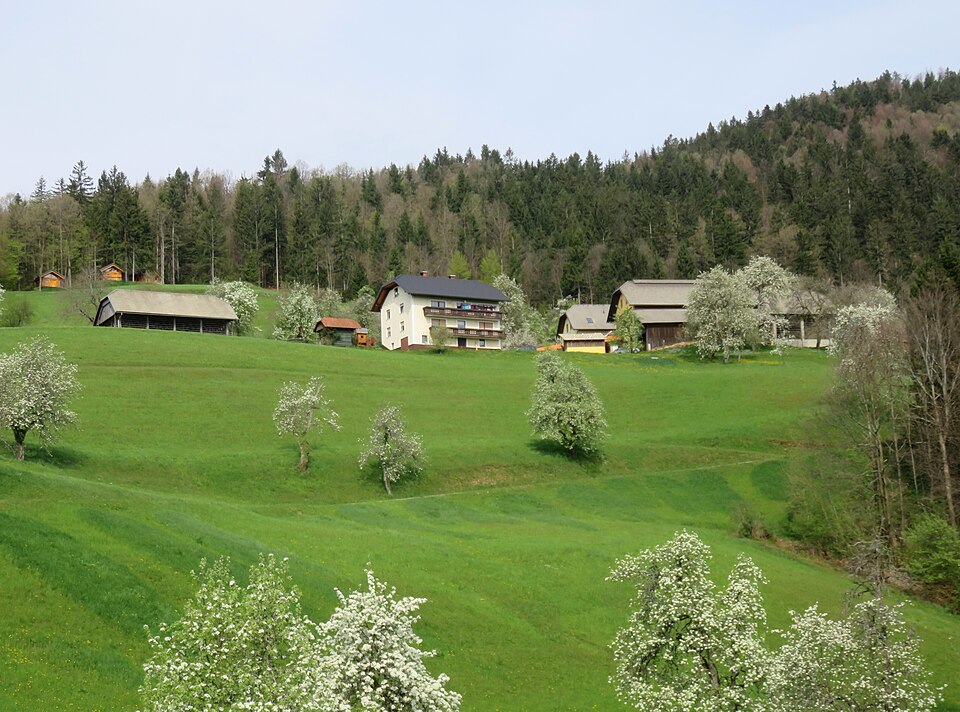 Florijan Nat