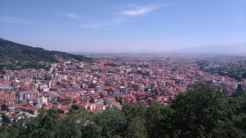 Florina