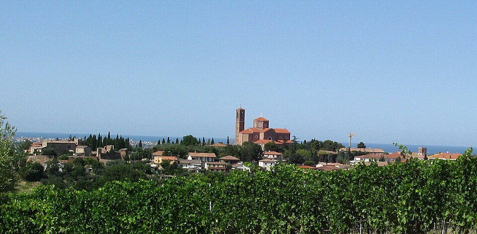 Francesco Zaghini