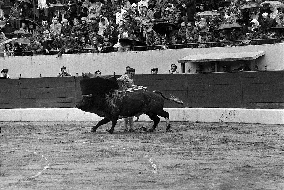Francisco Camino