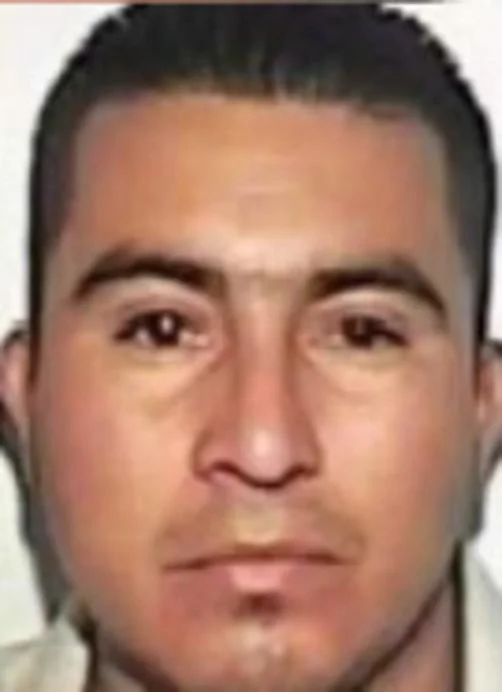 Francisco Javier Román-Bardales