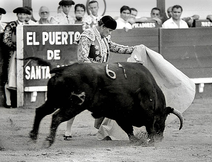 Francisco Tello Reyes