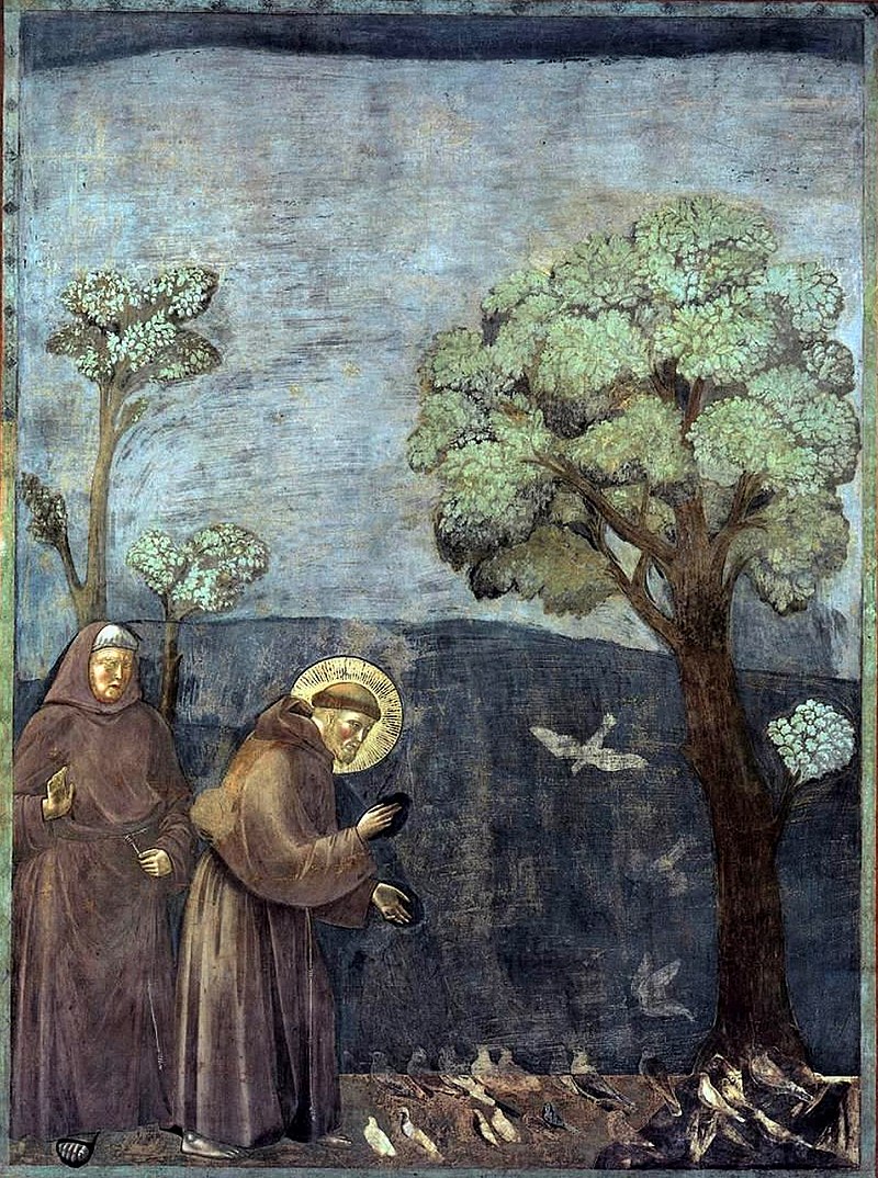 Francois D Assise