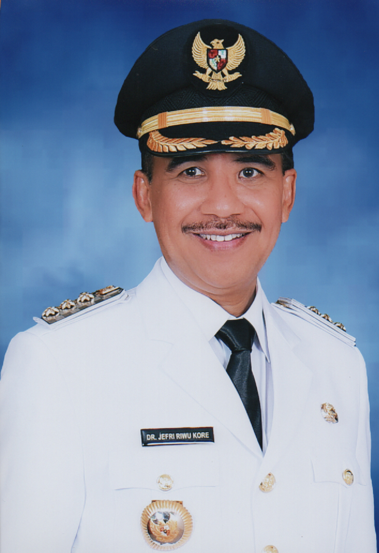 Fransiskus Pati Herin