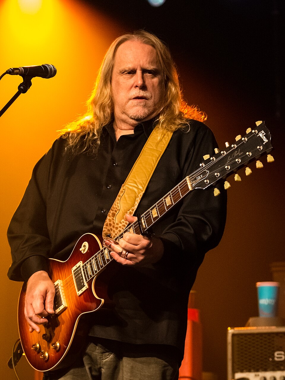 Freddie Haynes