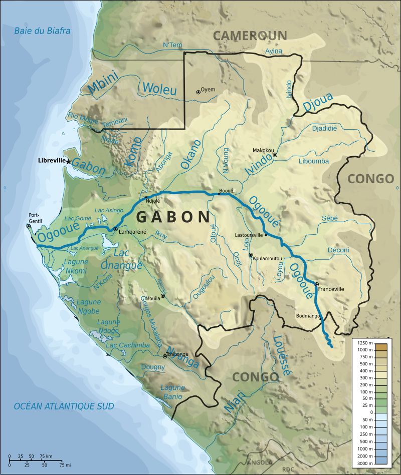 Frédéric Basin