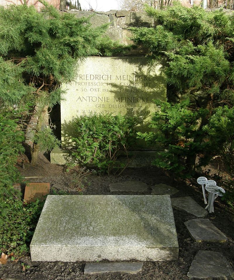 Friedrich Meinecke