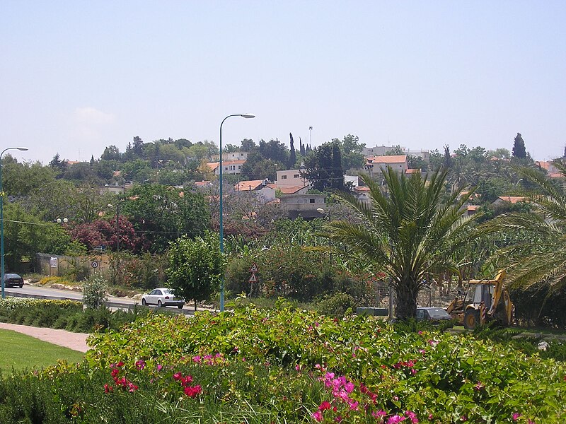 Gabi Naaman