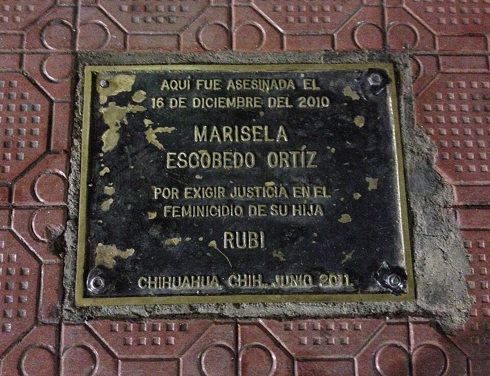 Gabriela Minjares