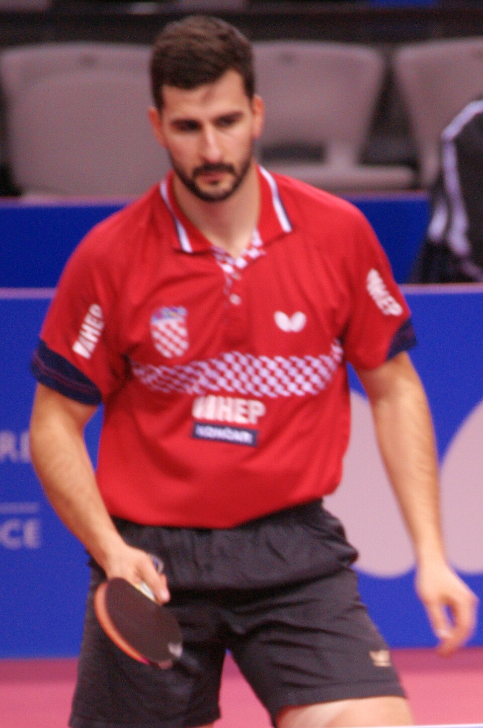 Gaćina