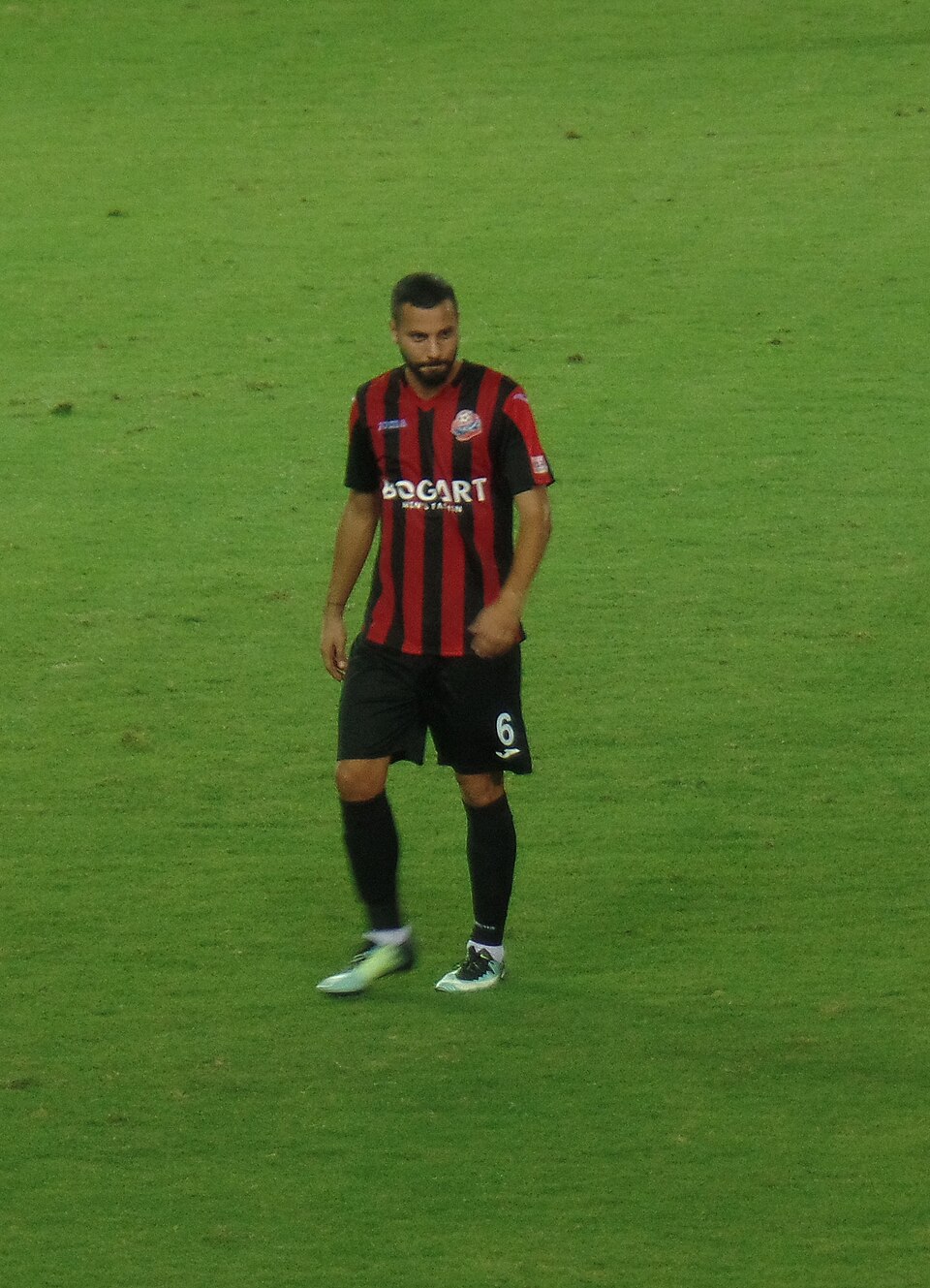 Gal Harel