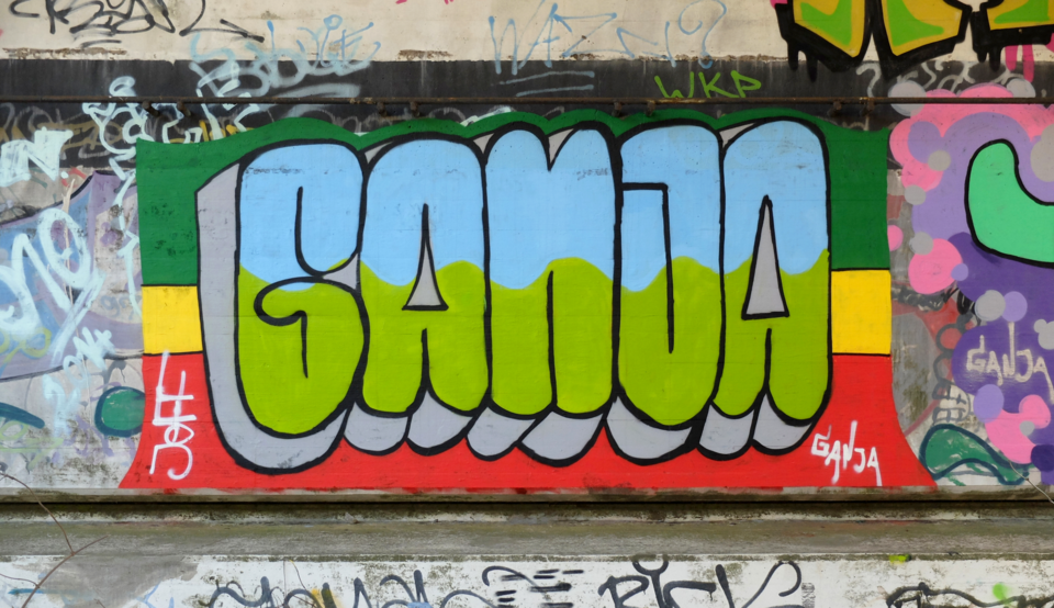 Ganja