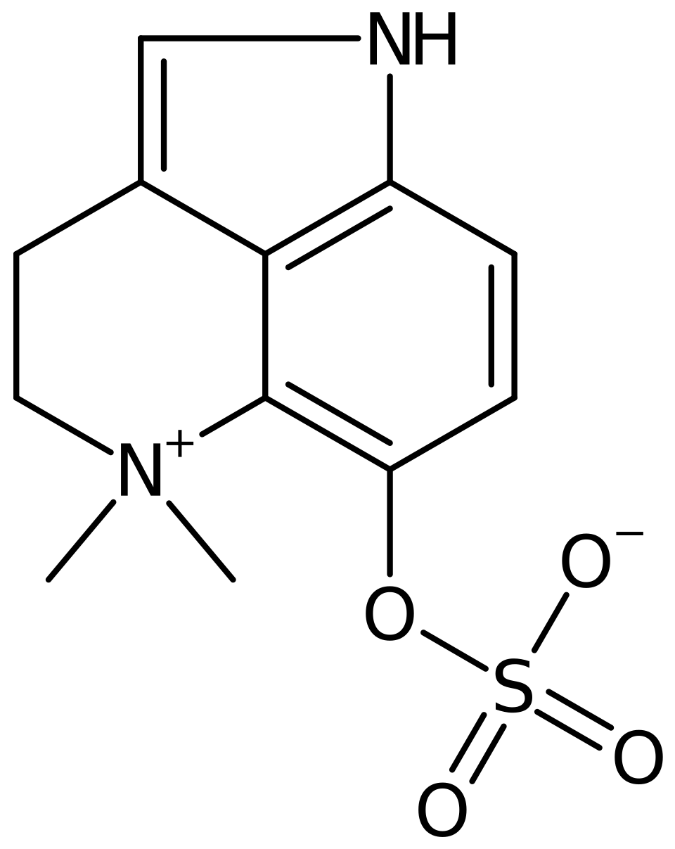 Gao Guanghui