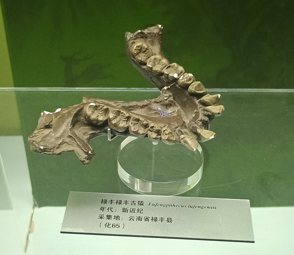 Gao Lingxia