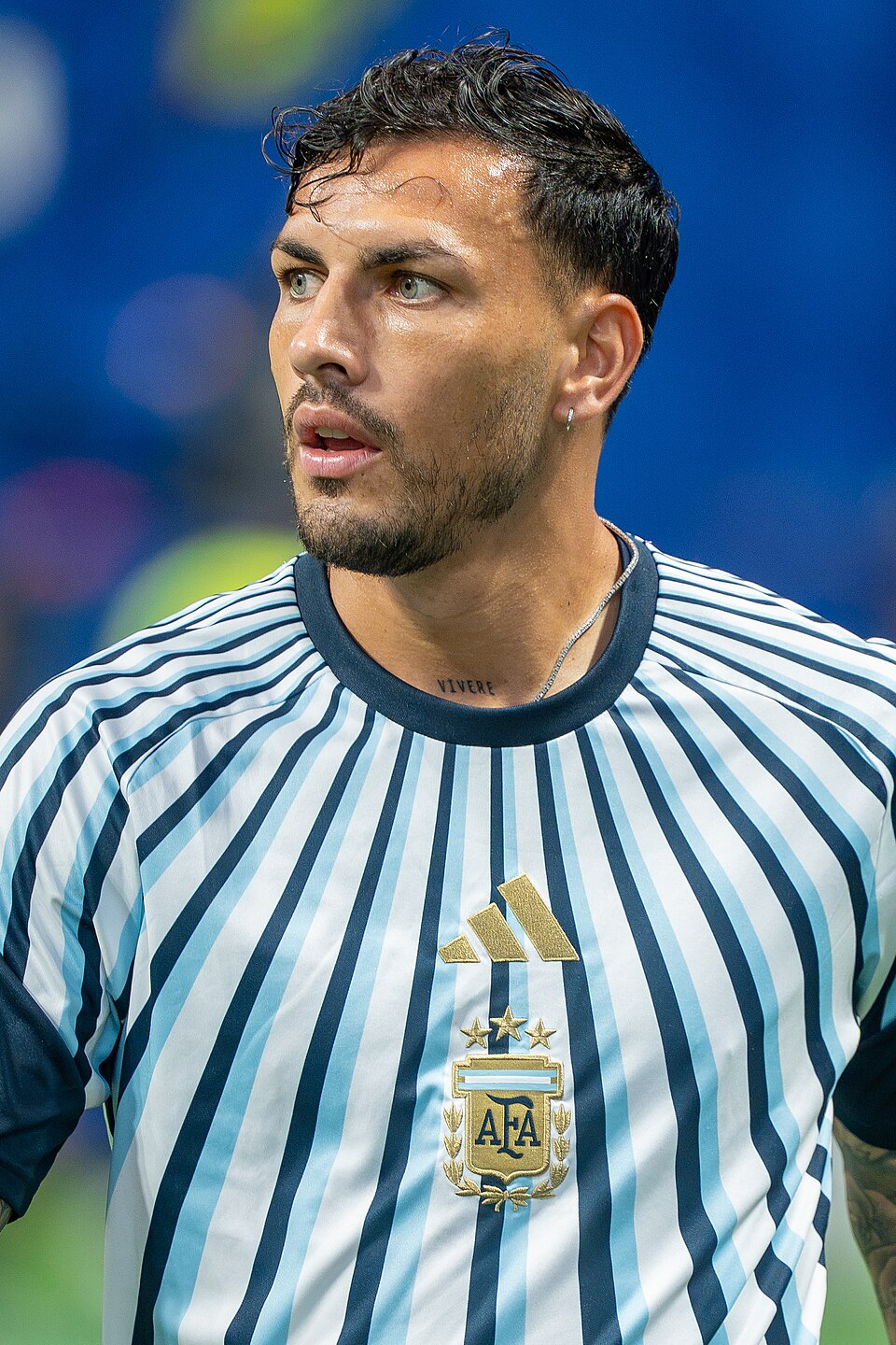 Gavi-Paredes