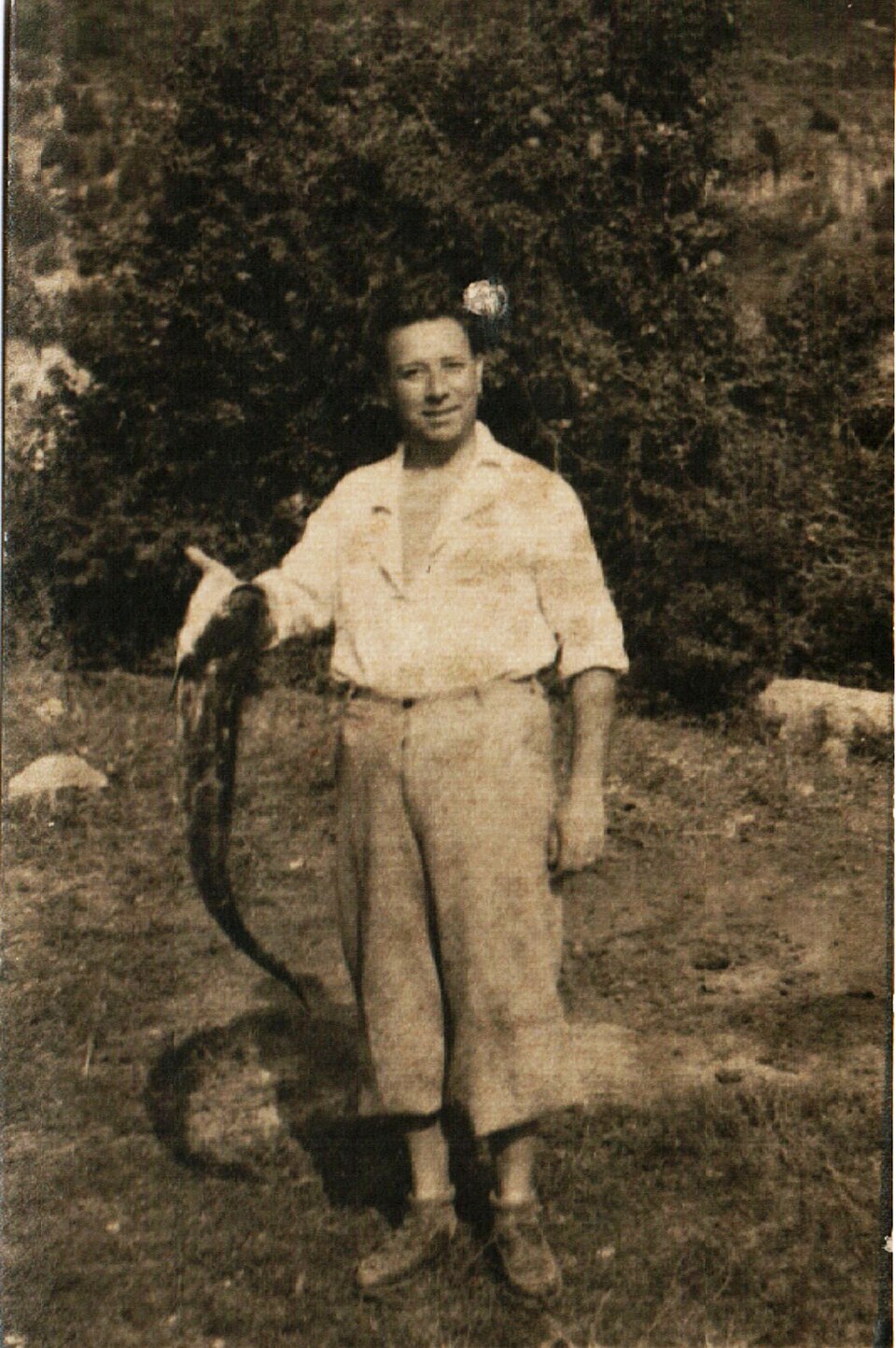Georgi Belev