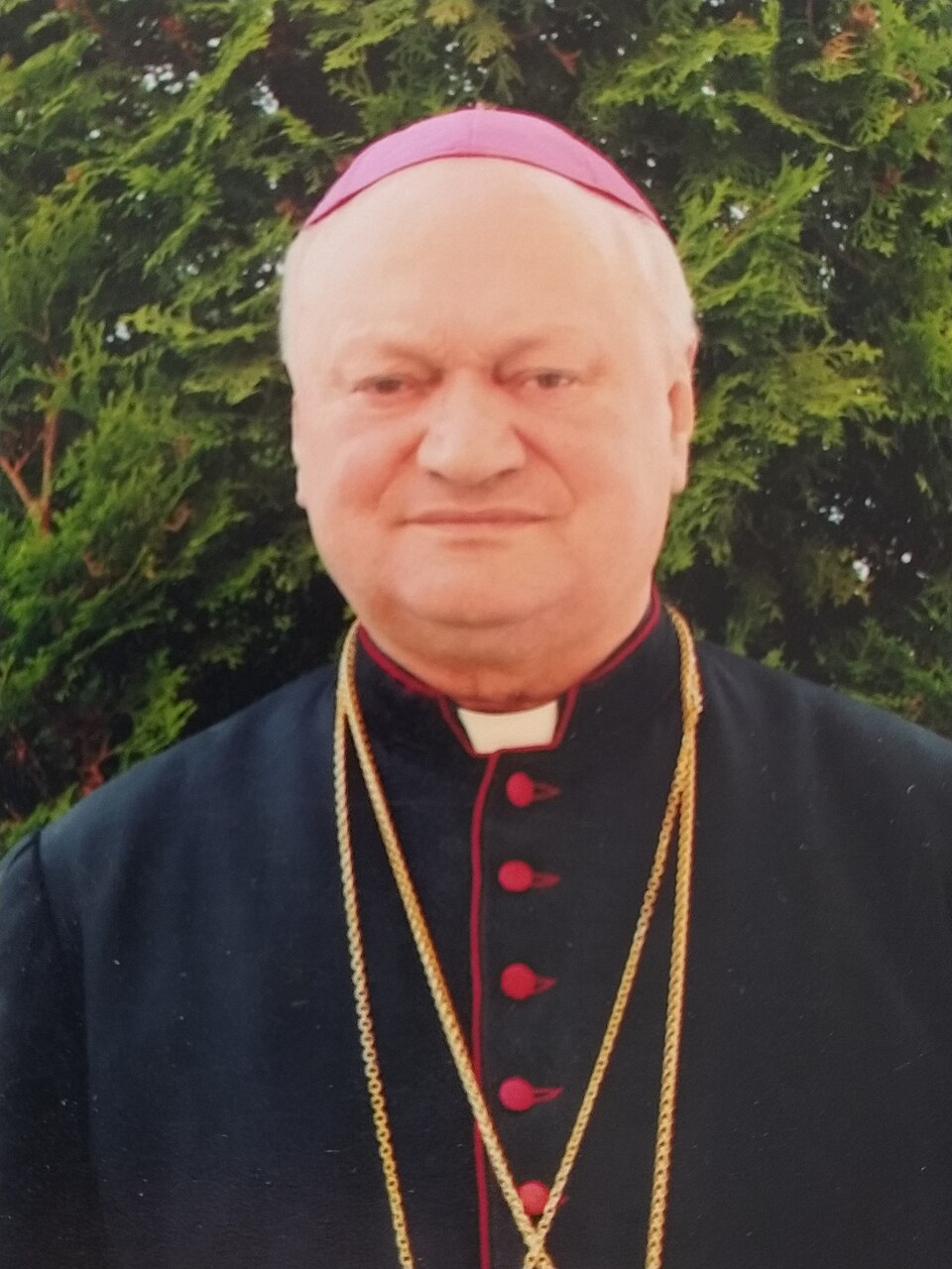 Gheorghe Ploscaru