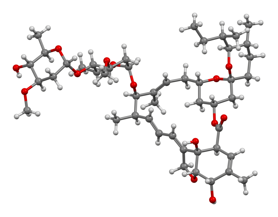 Gideon Meyerowitz-Katz