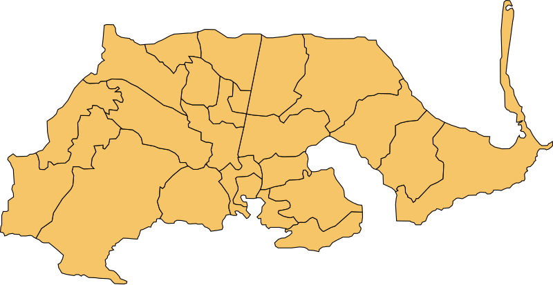 Ginés Barrios