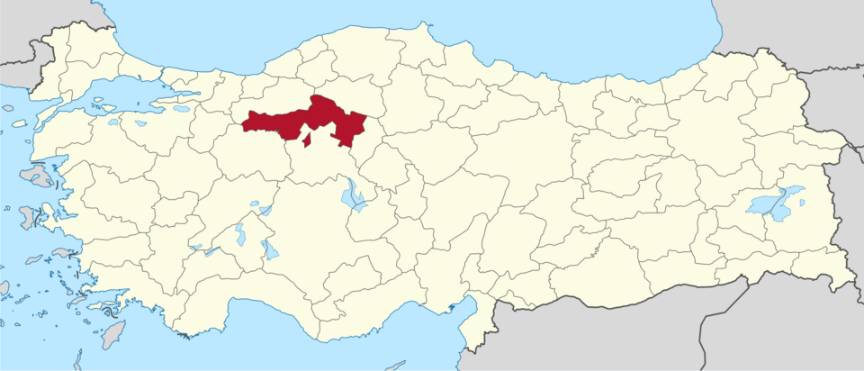 Gokmen Uyanık