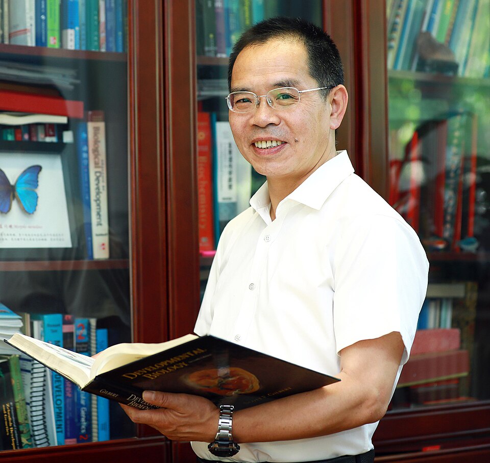 Gong Anming