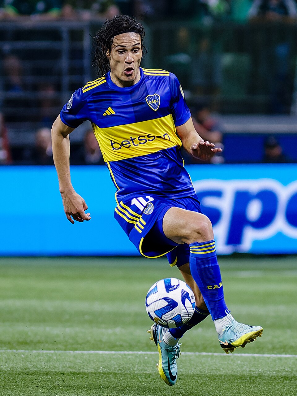 Gonzalo Suli