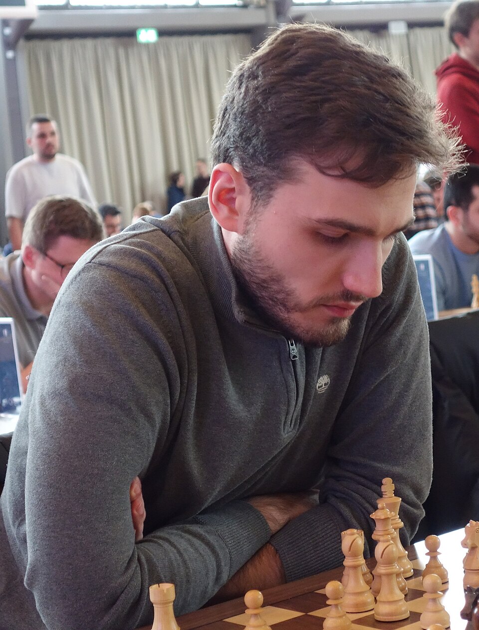 Goran Ivić