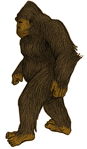 Gore Pariyar
