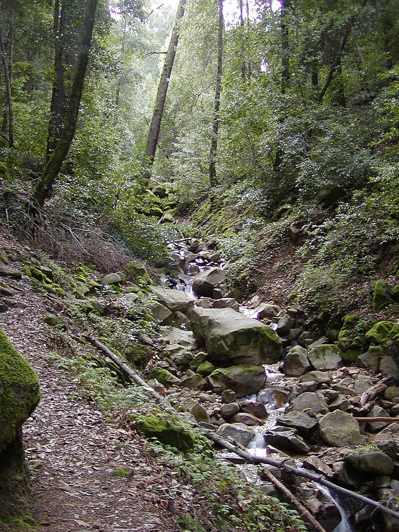 Granuja