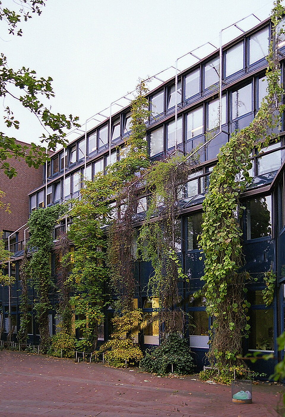Greening