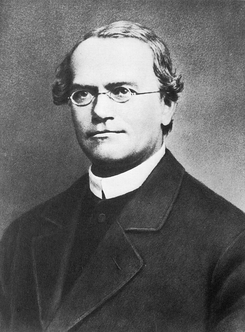 Gregor Thüsing