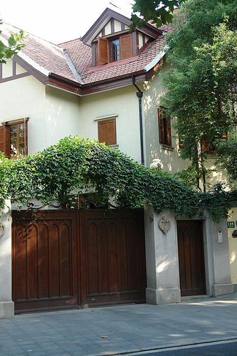 Gu Shaoyi