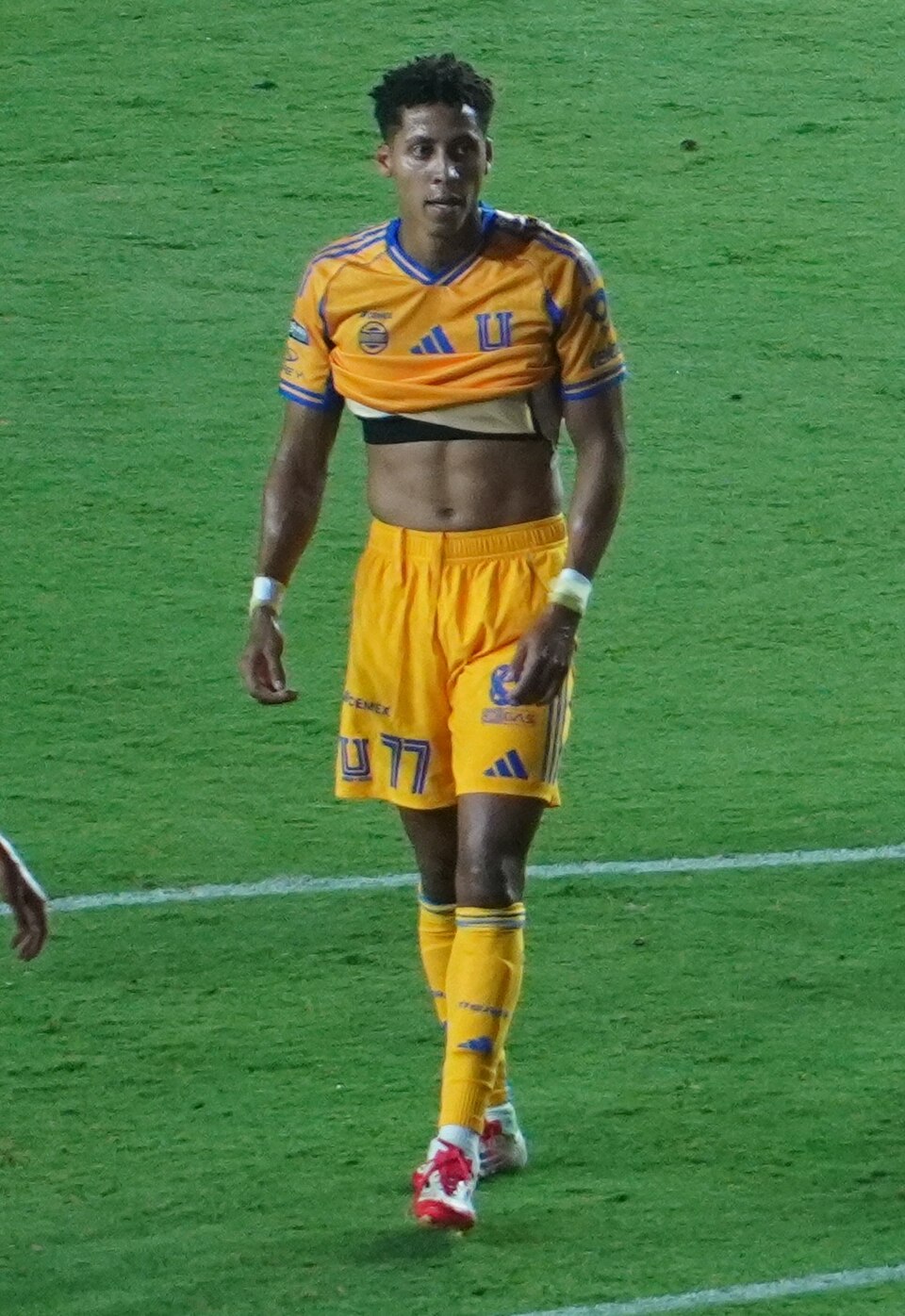 Guillermo Herrera Hernández