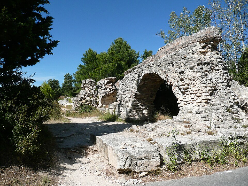 Gül Sürmelihindi