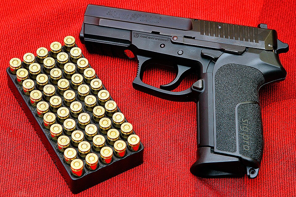 Gun
