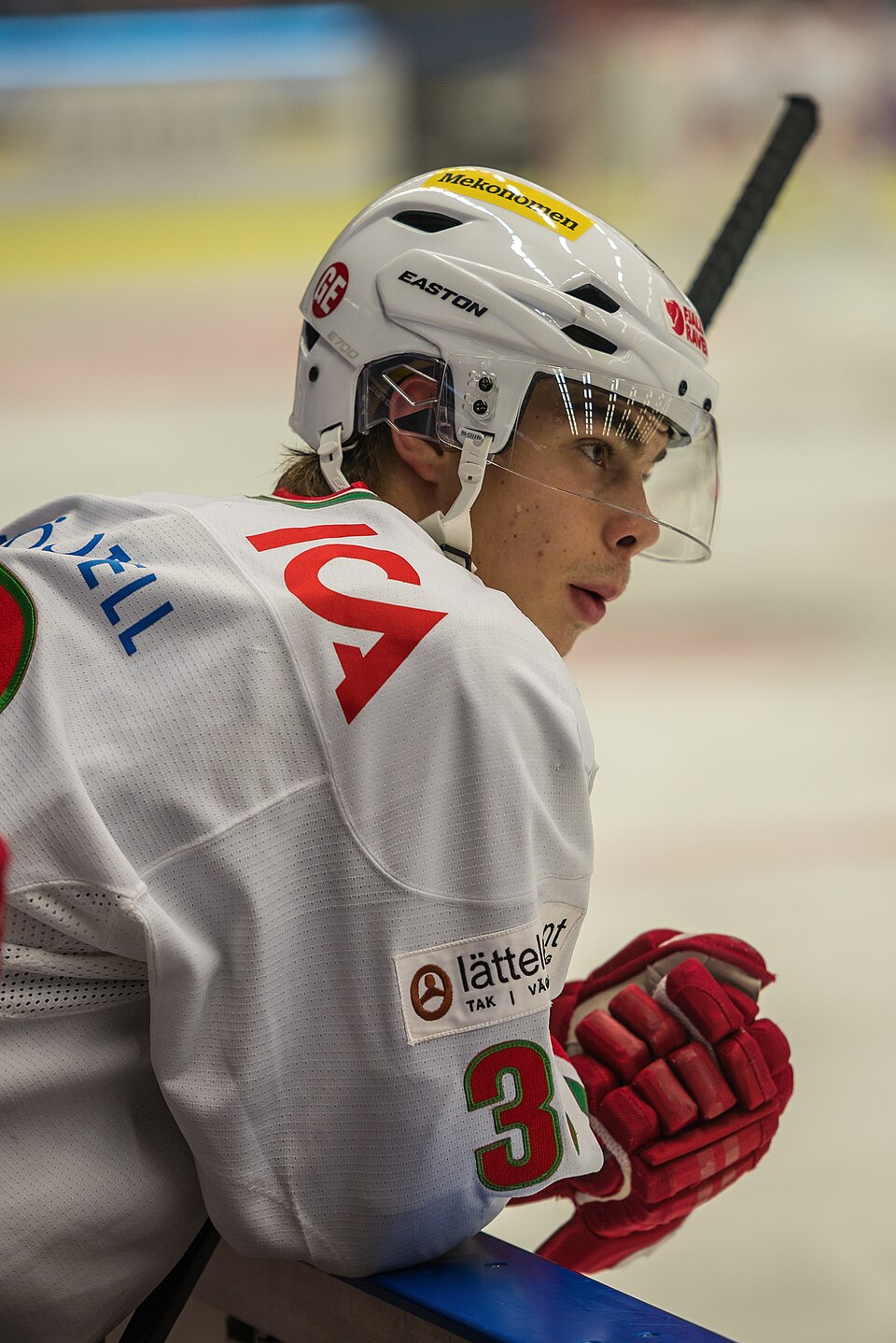Gustav Possler