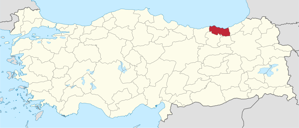 Guzide Uzun