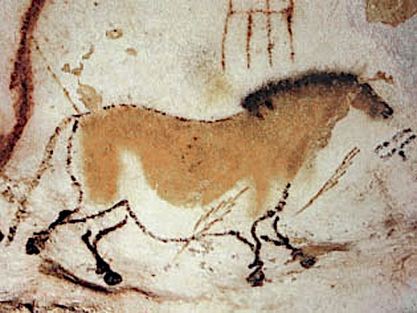 Haan van Bri