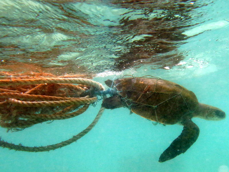Hadi Kardhana