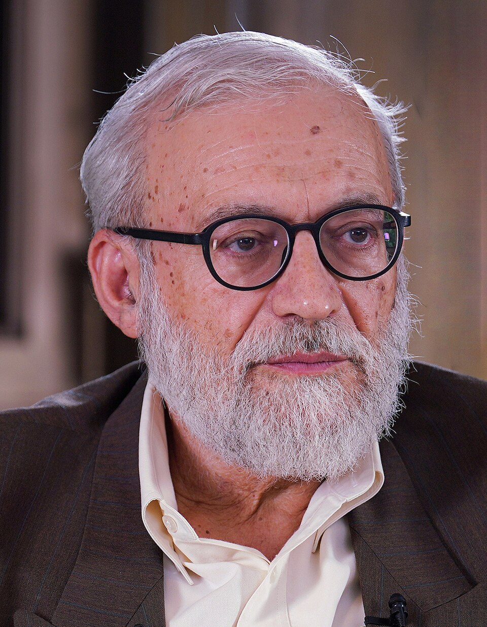 Hadi Larijani