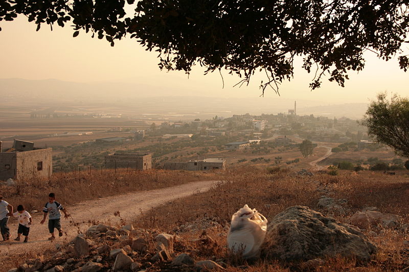 Haifa Abu Ghazaleh