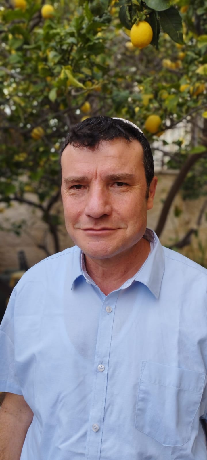 Haim Cohen