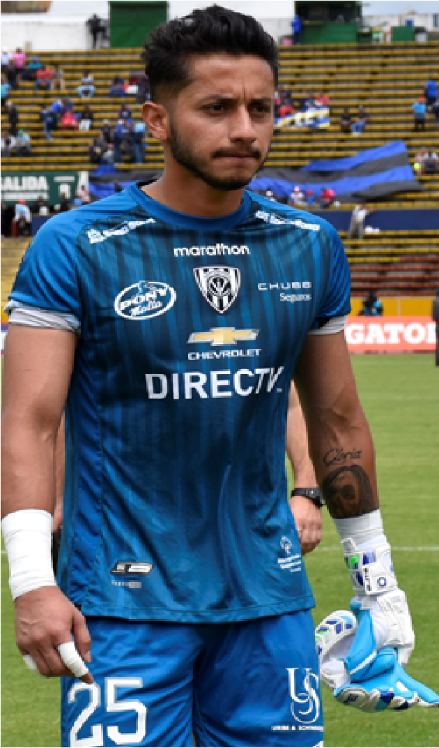 Hamilton Piedra